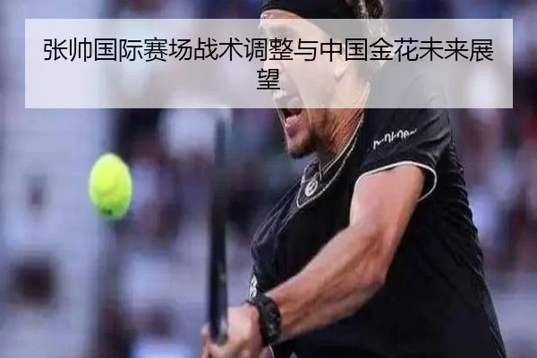 张帅国际赛场战术调整与中国金花未来展望